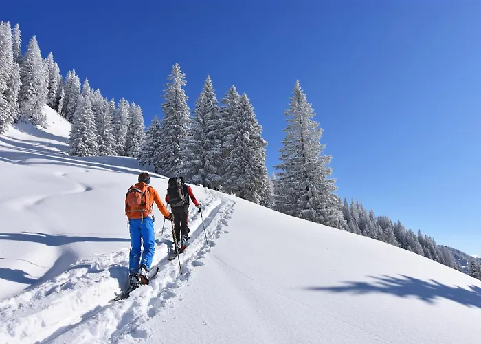 Fewo-dorfromantik - Kostenlose Sommerbergbahnen Und Tiefgarage, Kurze Wege, Ruhige Lage